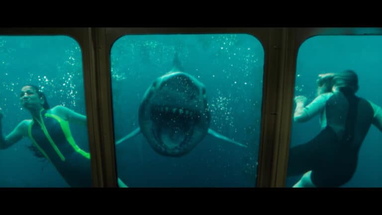 Shark Movie THE RED TRIANGLE Coming From 47 METERS DOWN Director