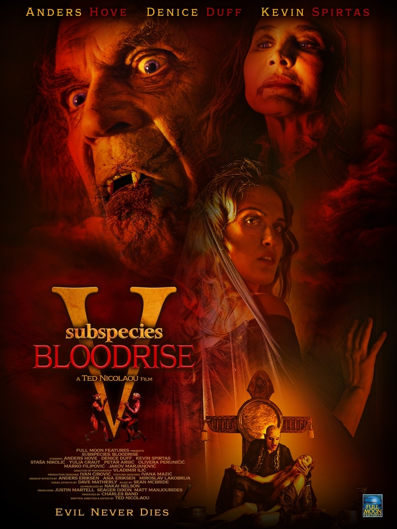 Bloodrise Movie Poster
