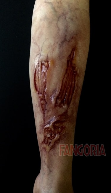 Cabin Fever '16 FX photo 3