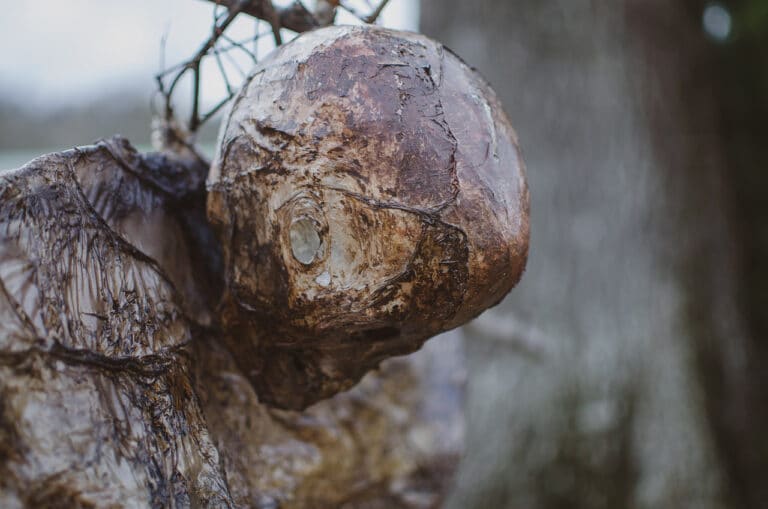 When The Show’s Over, The Real Horror Begins: Welcome To HELLBILLY HOLLOW!