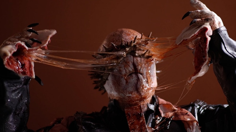 Fang6Face-reveal.width-800