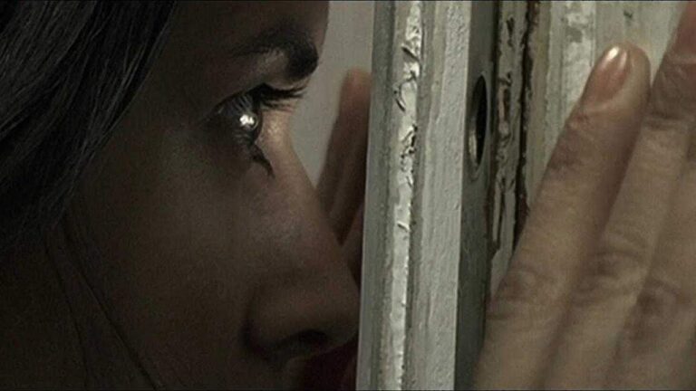 Fantasia 2006 Report: Part Two