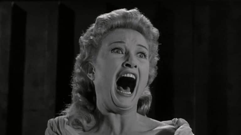 The 10 Scary Movies That Offer a Surprisingly Snug Viewing Experience