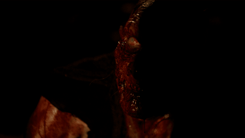 Little Bites Monster Agyar