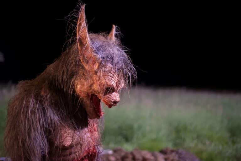 Q&A: Producer Larry Fessenden Talks LATE PHASES, The Veteran Cast And Newfangled Transformation