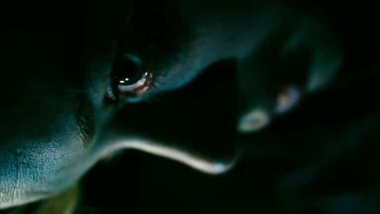 10 Fright Films Where The Bad Guys Aren’t The Real Villains