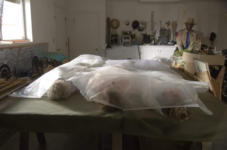 Review: MASTERS OF HORROR: THE SCREWFLY SOLUTION