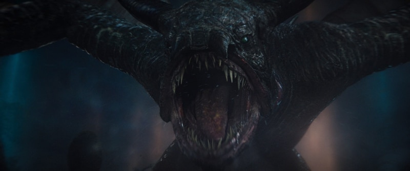 Monarch_Photo_011012