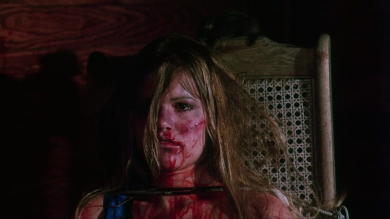 Nightmares in a Damaged Brain (1981)