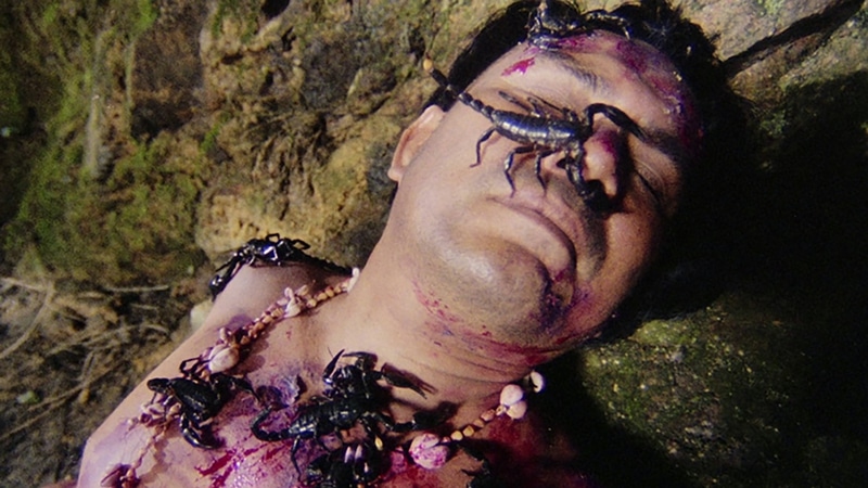 RED-SPELL-SPELLS-RED_hero