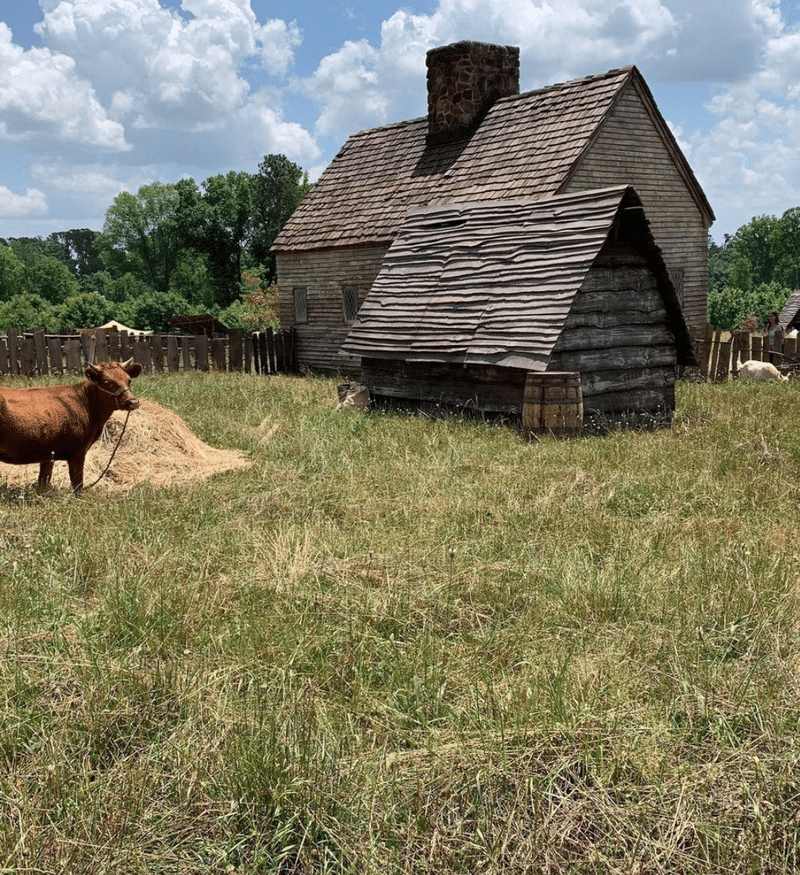 fear street settlement 3.png