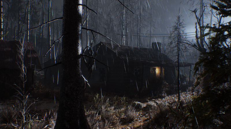 env_video_scr_noHUD_03