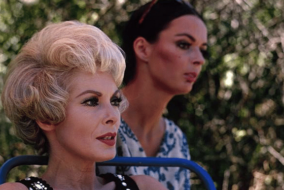 Screen Shot 2022-11-23 at 11.22.26 AM