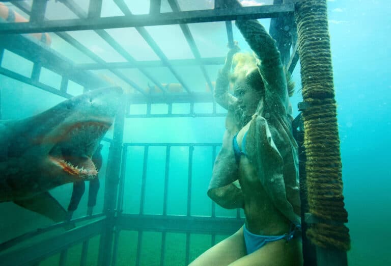 Review: SHARK NIGHT 3D