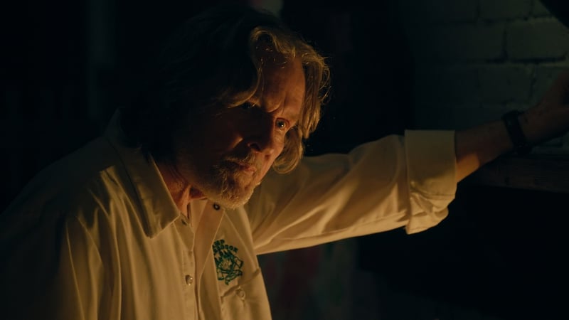 She Came From The Woods (Blue Finch Film Releasing) (4)