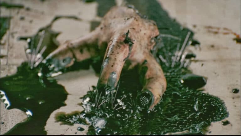 DVD Review: SPLINTER