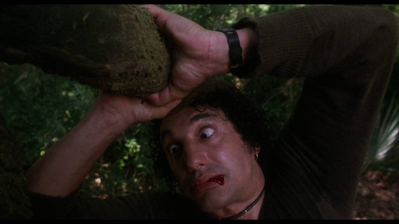 Swamp Thing 1982 kill