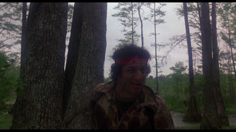 Swamp Thing David Hess