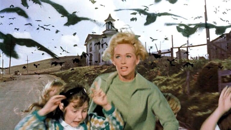 Pecking Order: Alfred Hitchcock’s THE BIRDS At 60