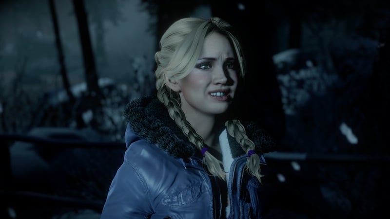 Until Dawn.jpg