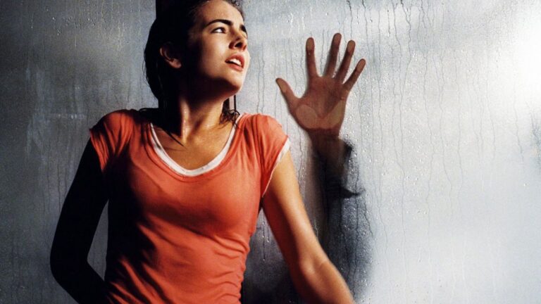 DVD Review: WHEN A STRANGER CALLS (2006)