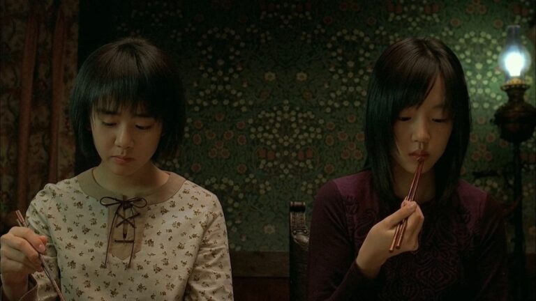 Memorable Haunting: Kim Jee-Woon On A TALE OF TWO SISTERS