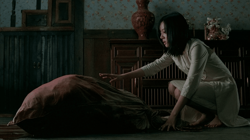 a tale of two sisters 2