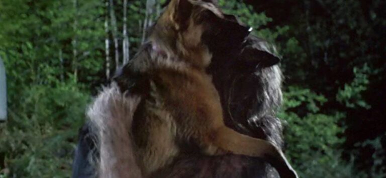 BAD MOON And Why Horror Needs More Good Boy Heroes