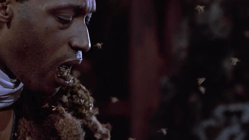 candyman 2.jpeg