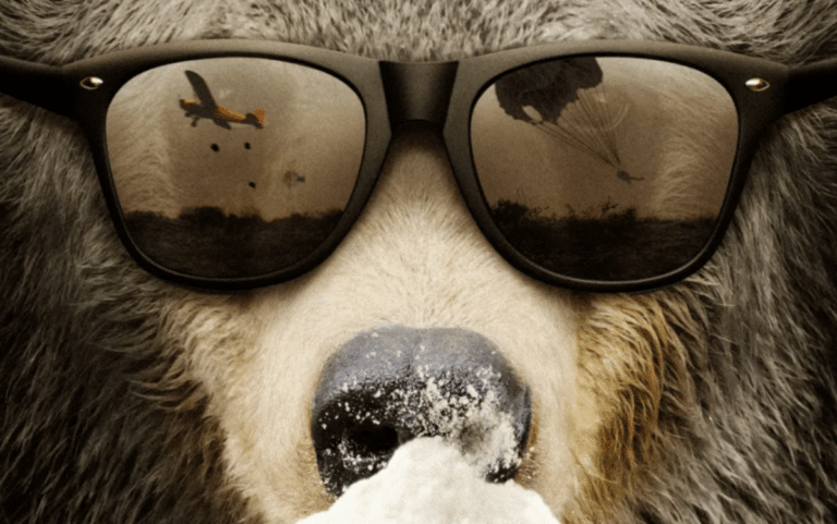 The 10 Scary Bear Movies That Will Make You Fear the Great Outdoors More