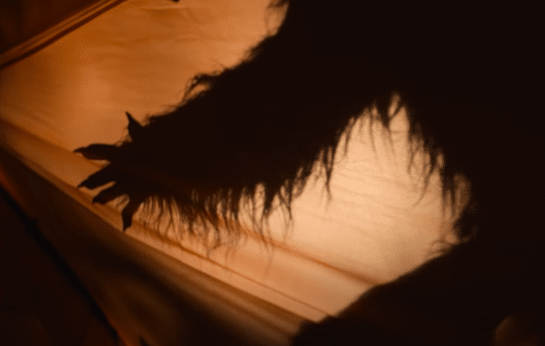 The First MONSTERS OF CALIFORNIA Trailer Unleashes Extraterrestrial Hijinks