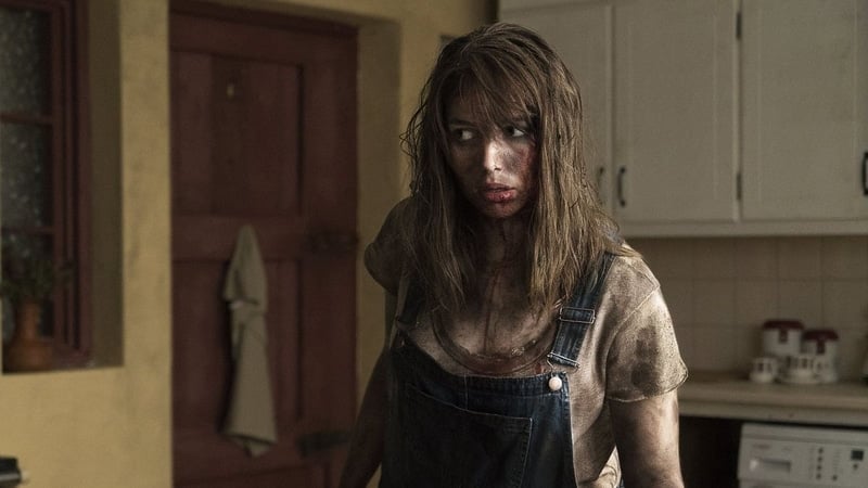 the hole in the ground