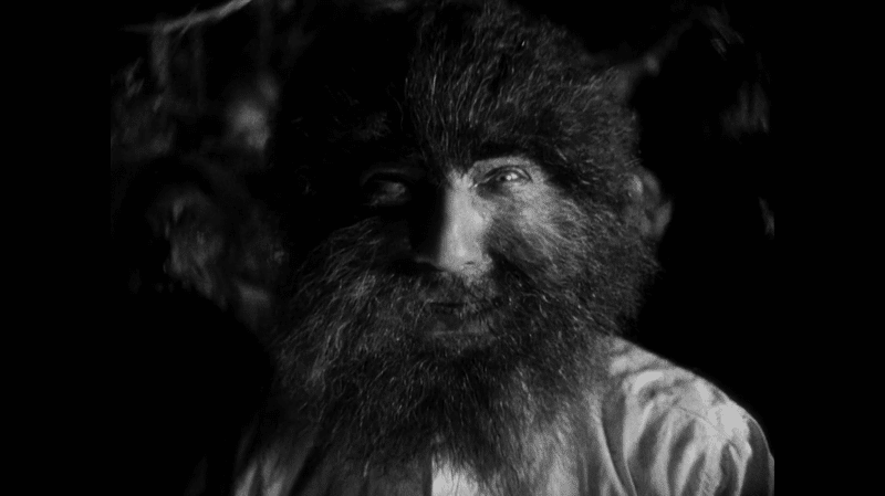 sayer of the law.png