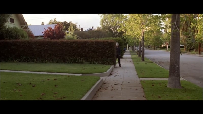 Halloween Michael Myers Hedge