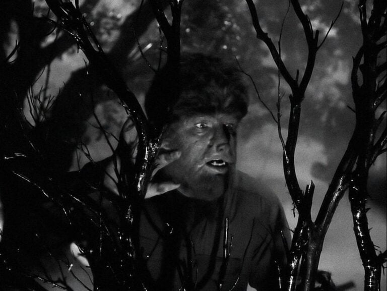 Under A Swastika Moon: 80 Years Of THE WOLF MAN