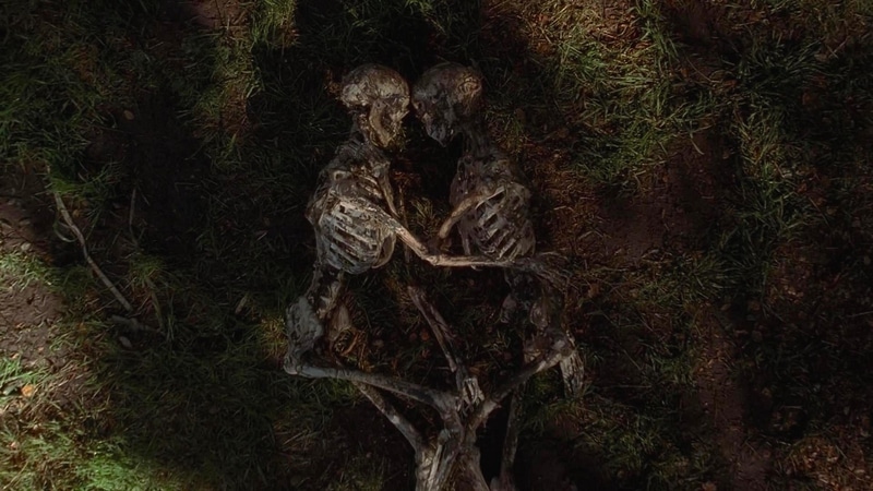 xfiles field trip.jpg