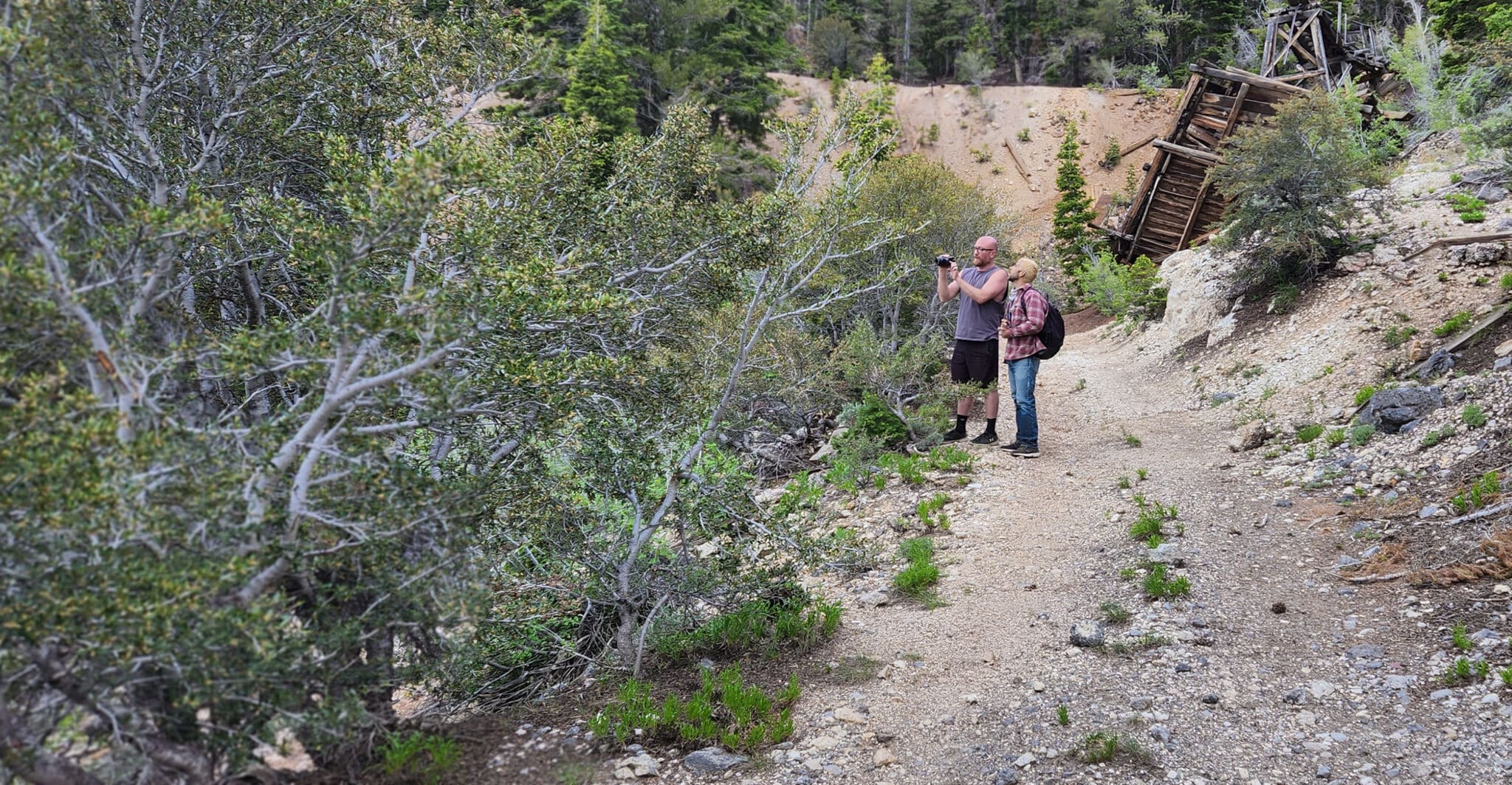 HORROR IN THE HIGH DESERT 3