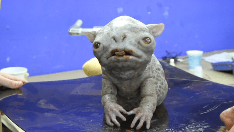 Exclusive: THE CLEANSE Clip Crafts A Chocolate Munching Critter