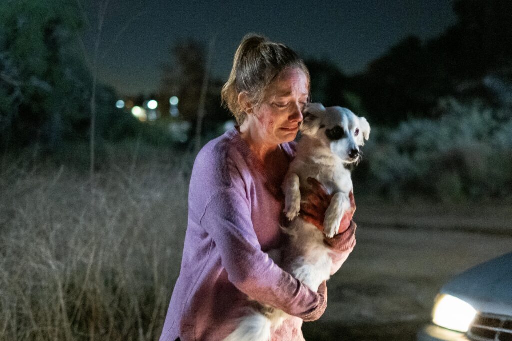 Good Boy (Judy Greer) - Hulu 