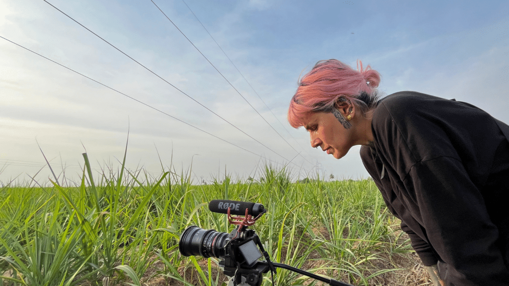 Wolf Song - Black Mansion Films