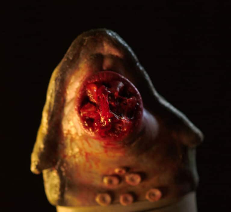 A Reflection On Penning (And Launching) LEECHES