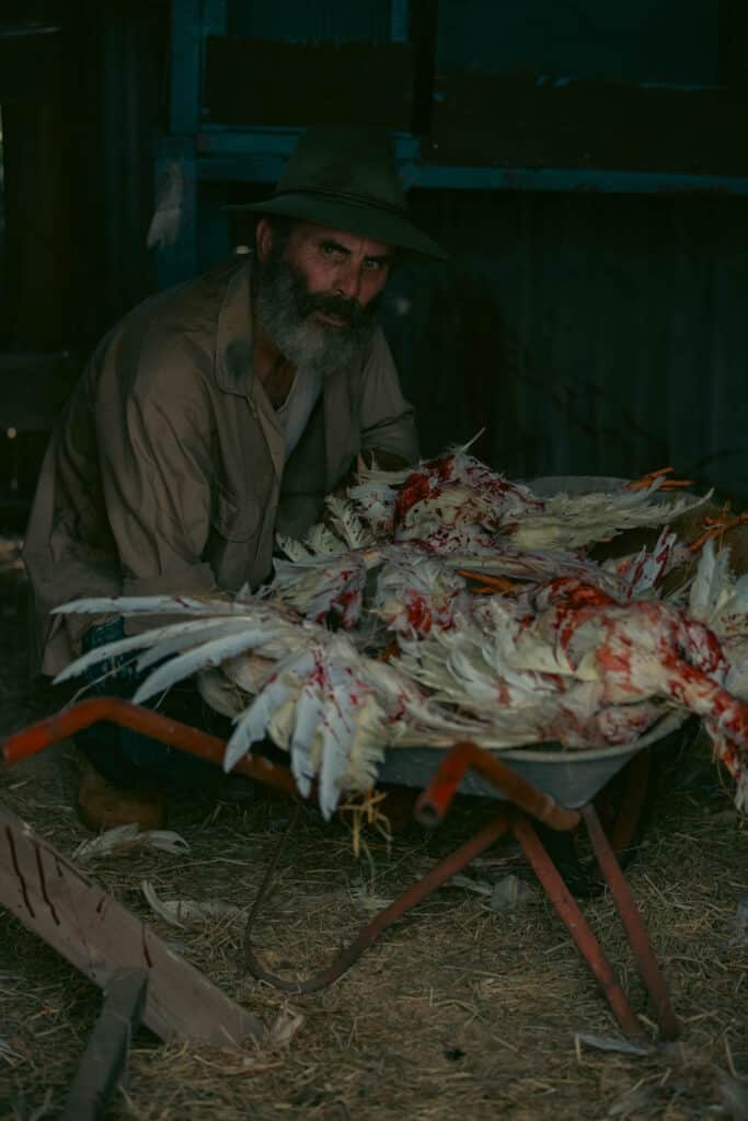 The Demon Disorder - Shudder