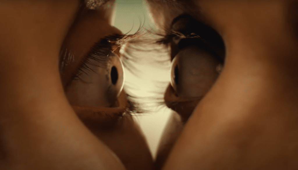 TOGETHER Review: Love Will Shunt Us Together