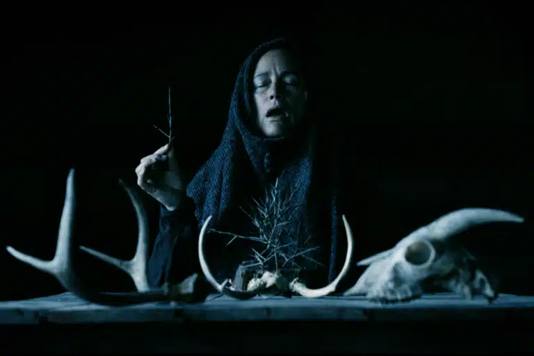 The Adams Family’s MOTHER OF FLIES Picked Up By Yellow Veil Pictures
