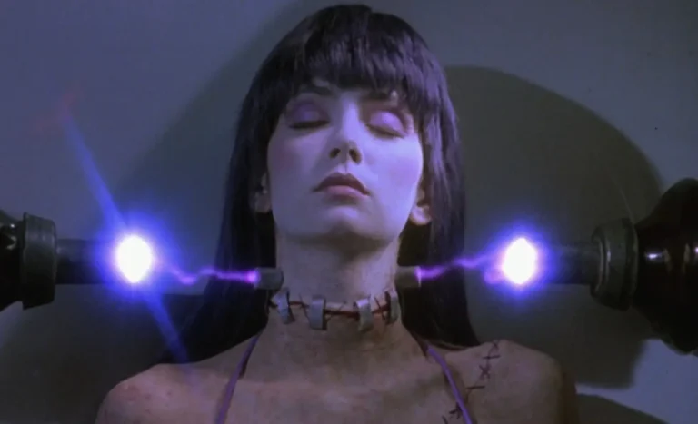 Patty Mullen in Frank Henenlotter's FRANKENHOOKER (Credit: IMDb)