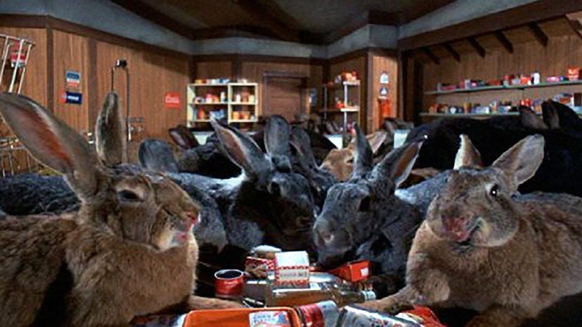 Were Rabbit Horror Is This The Bad Bunny You’re Looking For? Our Favorite Horror Movie Hares