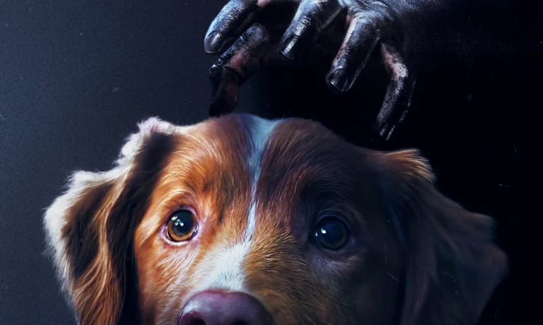 grady hendrix ben leonberg GOOD BOY (Credit: IFC/Shudder)