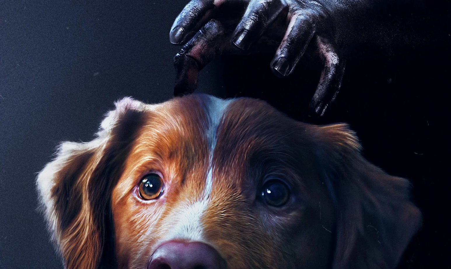 grady hendrix ben leonberg GOOD BOY (Credit: IFC/Shudder)