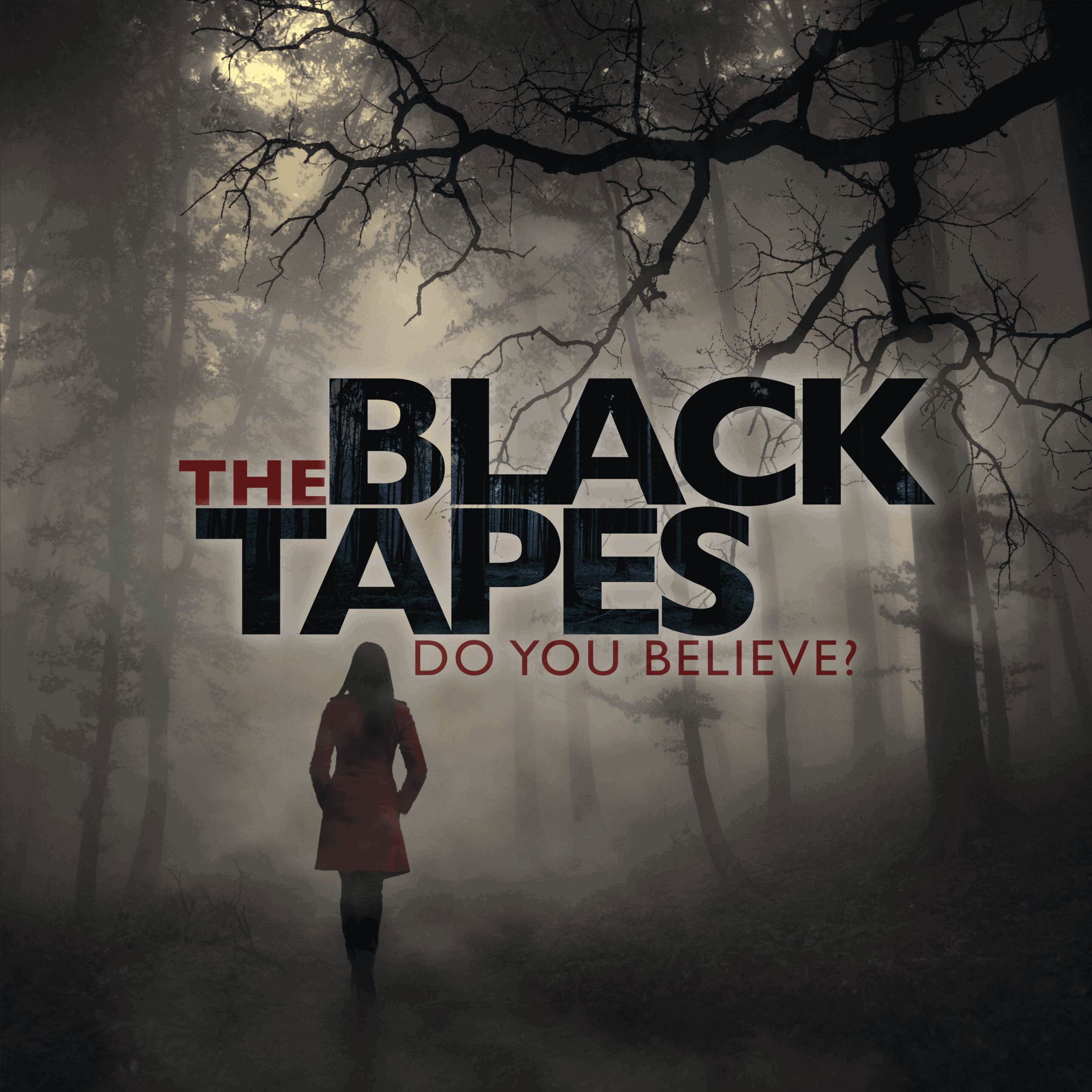 THE BLACK TAPES (Credit: iTunes)