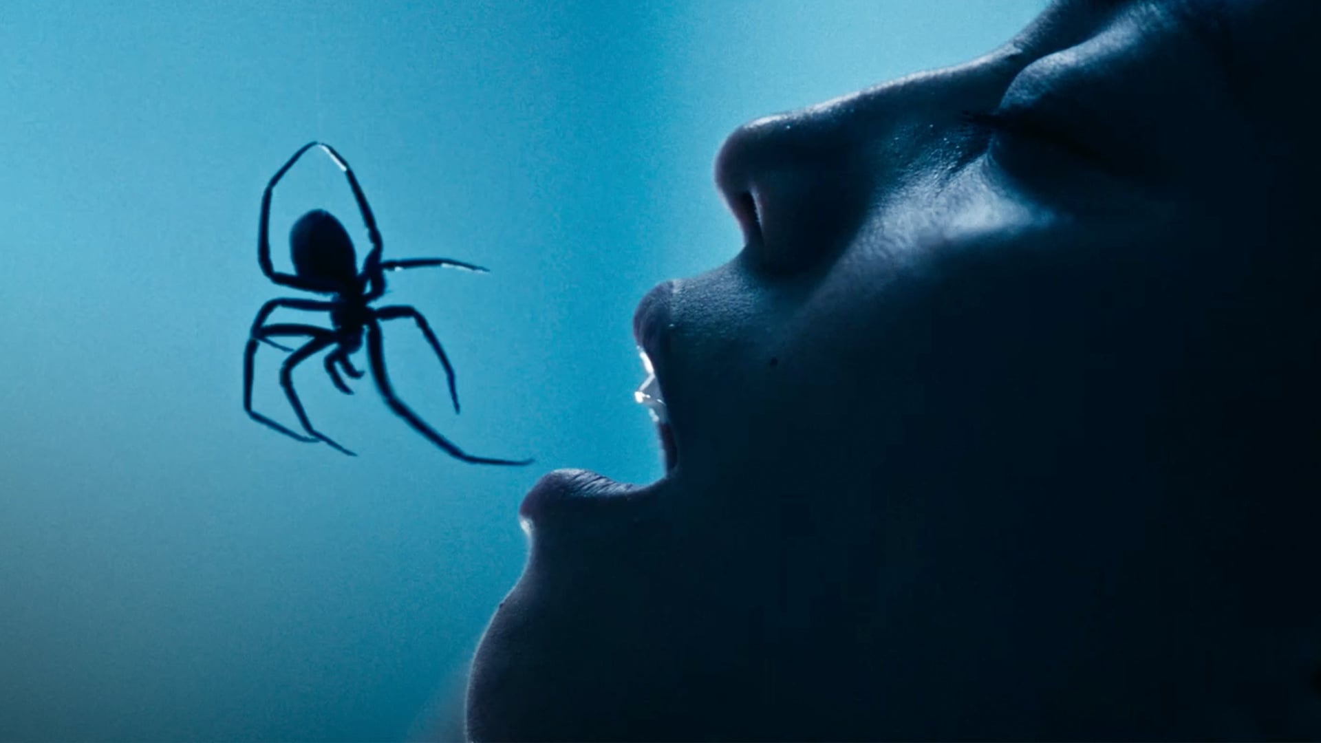 Review: CRAWLERS Will Creep Out The Arachnophobic And No One Else